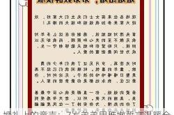 婚礼上的童声：7岁弟弟用稚嫩誓言温暖全场